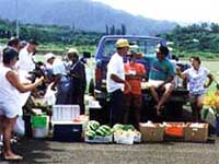Kauai Farmers Market